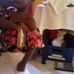 Vernessa Straker - Facebook