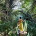 Vanessa Street - Facebook