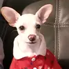Vanessa Suazo - @vanessasuazo27 - TikTok