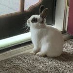 Vanessa Sumnerhill - @vanessasumnerhill - Instagram