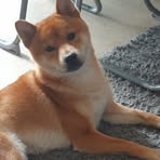 Vanessa Sun - Facebook