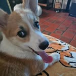Vanessa Sutter - @maggie_thehappymaker - Instagram