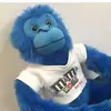 vanessa.sy - @vanessa.syr - TikTok