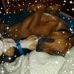 Vanessa Teeter - Facebook