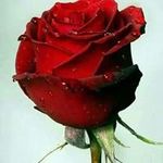 vanessatinker7@gmail.com - @vanessatinker7gmail.5561 - Instagram