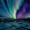 vanessa - @vanessapartrice - TikTok
