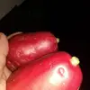 vanessaviness422 - @vanessaviness422 - TikTok