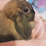 VANESSA - @vanessa_webber5678 - Instagram