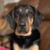 vanessaweekssykes - @vanessaweekssykes - TikTok