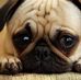 Vanessa Wigfall - Facebook