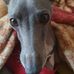 Vanessa Winter - Facebook