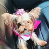 Miss Vanessa 🎀 - @missvanessayork - TikTok