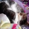 Vanessa Combs-York - @vanessa.combsyork - TikTok
