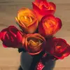 vani jain - @vanijain220 - TikTok