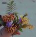 Vanita Thomas - Facebook