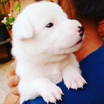 Vanita Nanware - @vanitananware - Instagram