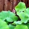 Vanitha Balaji - @vanitha.balaji - TikTok