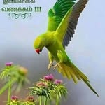 vanitha ramakrishnan - @vanitharama - Instagram