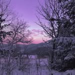 Vanity Hunter - @huntervanity81 - Instagram