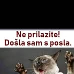 Vanja Maksimovic - Facebook
