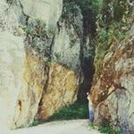 Vanja Popovic Srdanović - @vanja_srdanovic - Instagram