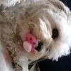vanjaprimorac23 - @vanjaprimorac23 - TikTok