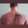vanjarodic79 - @vanjarodic79 - TikTok