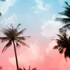 vanjastanisic856 - @vanjastanisic856 - TikTok