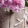 Vanja Veselinovic - @vanjaveselinovic - TikTok