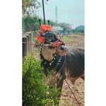 @vannhalle_sahukar__125 - Instagram