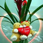 Vanna Seng - @vanna.seng.758 - Instagram