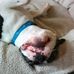 Vanya Johnson - Facebook