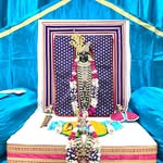 Varsha Thacker - @varshathacker1310 - Instagram