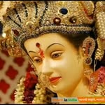 Varsha Thacker - @varshathacker48 - Instagram
