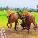 वरून_बबन_प्रेमी_वडगाव..11 - @varun_baban_premi_vadagon11 - Instagram