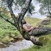 Varun Jacob - Facebook