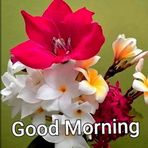 Vasanth Bhat - Facebook