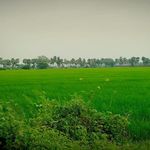 Vasavidevi Amarapu - @vasavideviamarapu - Instagram