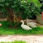 Vasavi Kumar - @vasavikumar772 - Instagram