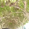 vasco costa - @vascocosta71 - TikTok