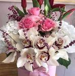 Vashti Ali - Facebook