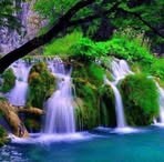 Vasile Truta - Facebook