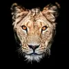 Vasu Arora - @vasuarora70 - TikTok