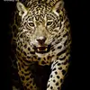 Vasu Arora - @vasuarora33 - TikTok