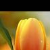 Vasu Sharma - Facebook