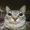 vaughncraft - @vaughncraft - TikTok