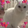 Mary Vaughn Harvey - @mary.vaughn.harve - TikTok