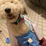Vaughn Miller - @vaughn.miller.129 - Instagram