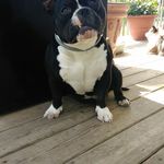 Vaughn Miller - @vaughnmiller72 - Instagram