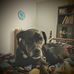 Vaughan Parrish - Facebook
